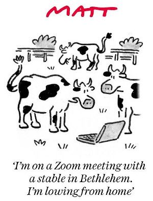 Matt stable cartoon