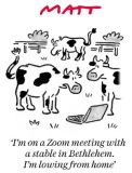 Matt stable cartoon