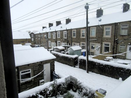 Snow 02 050125