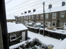 Snow 02 050125