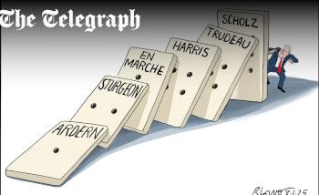 Domino cartoon