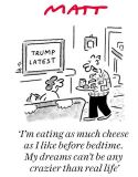 Matt dreams cartoon