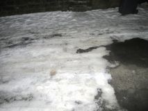 Back Street Ice 100125