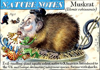 Musk cartoon