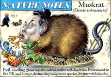 Musk cartoon
