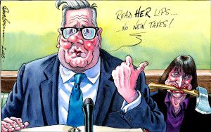 Taxes cartoon