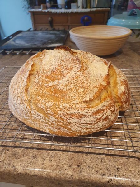 Sourdough (500g)