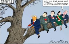 Tariffs  cartoon