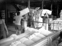 ClothloadingBancroft761208