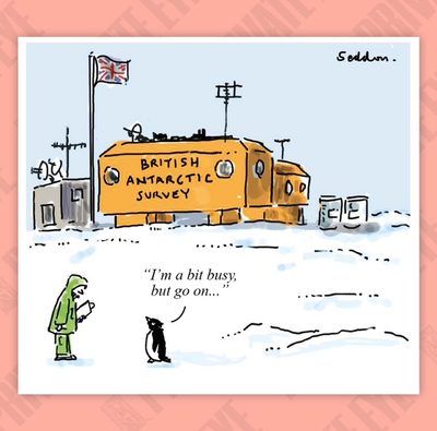 Survey cartoon