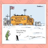Survey cartoon