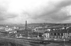 Nelsonview832302