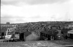 Nelsonview832301