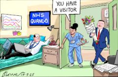 NHS quango cartoon.