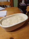 My new bread proving Banneton