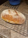 Oval Sourdough