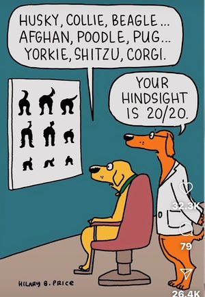 dogs cartoon