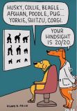 dogs cartoon