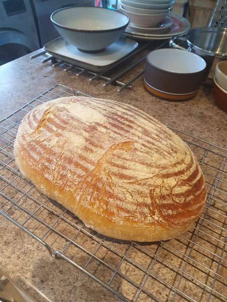 24 hour rise in the Fridge Sourdough