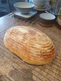24 hour rise in the Fridge Sourdough