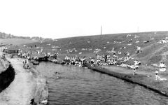Greenberfield021958