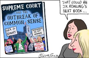 Trans cartoon
