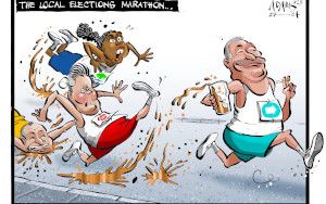 Local elections  cartoon
