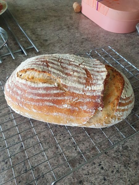 Sourdough