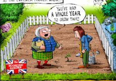 Flower show  cartoon