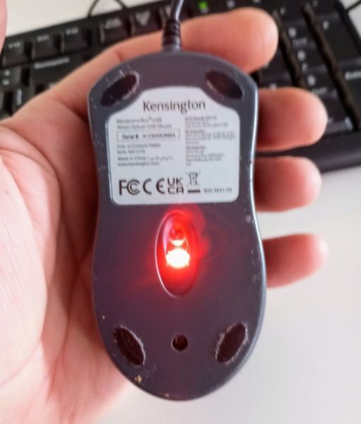Mouse