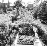 NapierRoadgarden1955