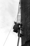 Tathamladderingsalford767926