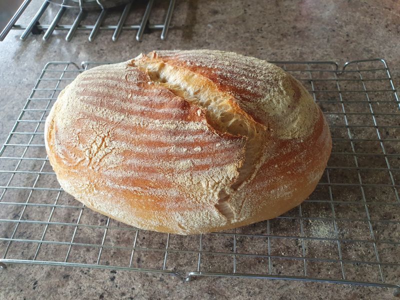 Latest Bake