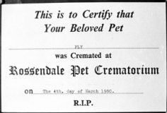 FlyCremationcertificate800601