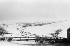 Snowscene820201