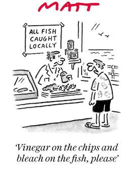 Matt fish  cartoon