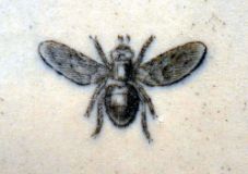 Fly on Urinal