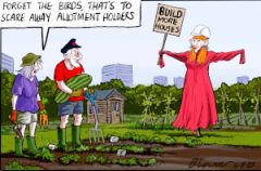 Allotment cartoon