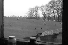Viewfromenginehouse777701