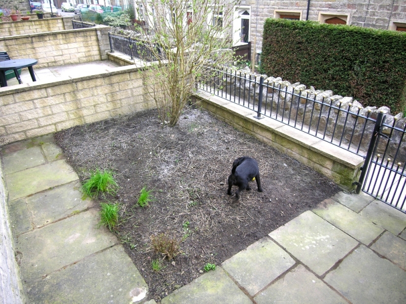FRONT GARDEN 300312