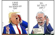 Peace in Gaza cartoon