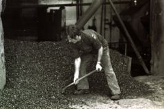 BancroftcoalPlummer7710133