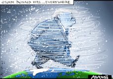 Storm Donald  cartoon