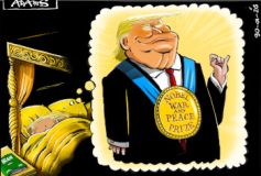 War and peace cartoon