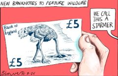 Banknote cartoon