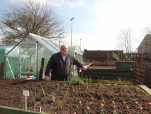 Allotment raised beds