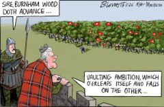 election  10 cartoon