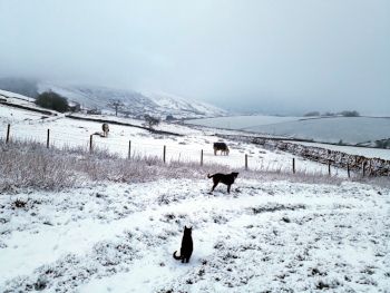 Wendy's family in the snow