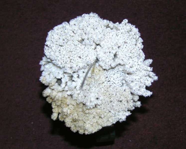 Mystery objects 76