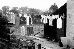 Washing766912